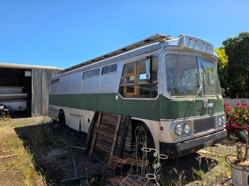 BUS
