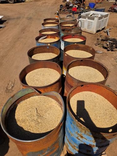 DRUMS FEED BARLEY