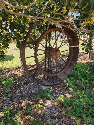 GARDEN ART (13)