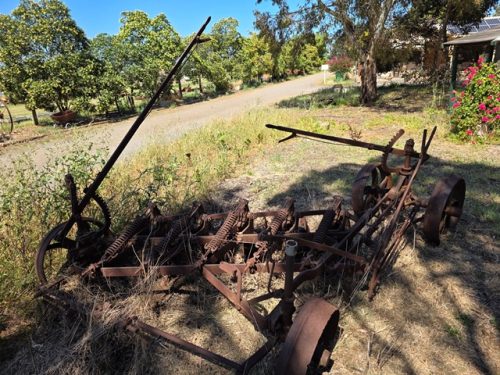 GARDEN ART (21)
