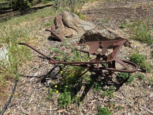 GARDEN ART (22)