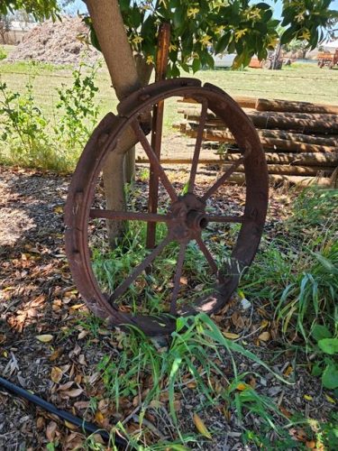 GARDEN ART (4)
