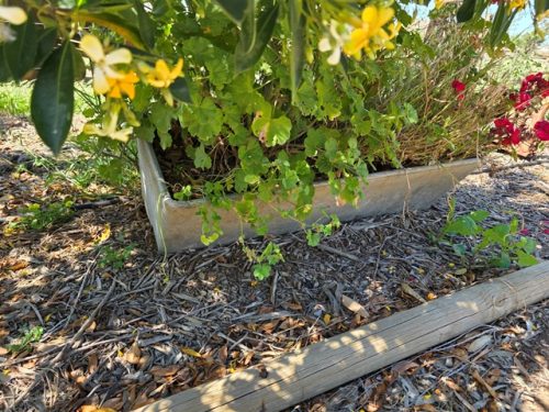 GARDEN POTS (2)