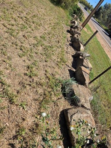 GARDEN ROCKS (5)