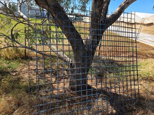 HD WELD MESH