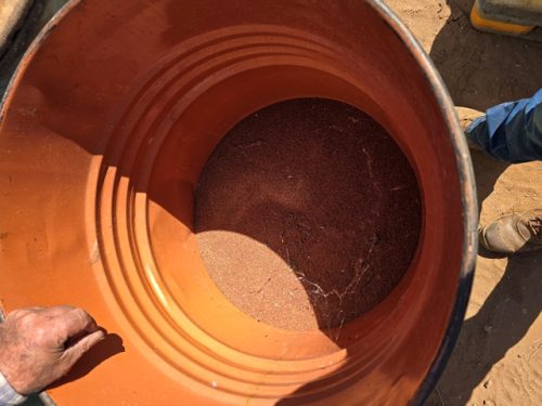 LUCERNE SEED