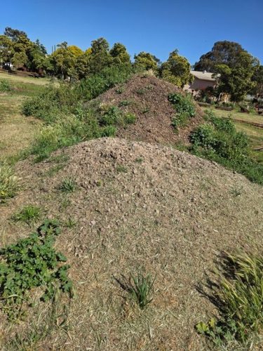 MULCH (4)