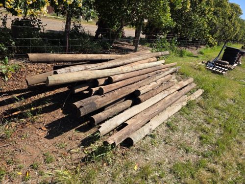 PINE POSTS